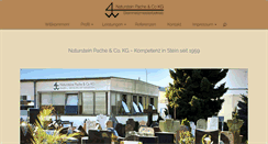 Desktop Screenshot of naturstein-pache.de